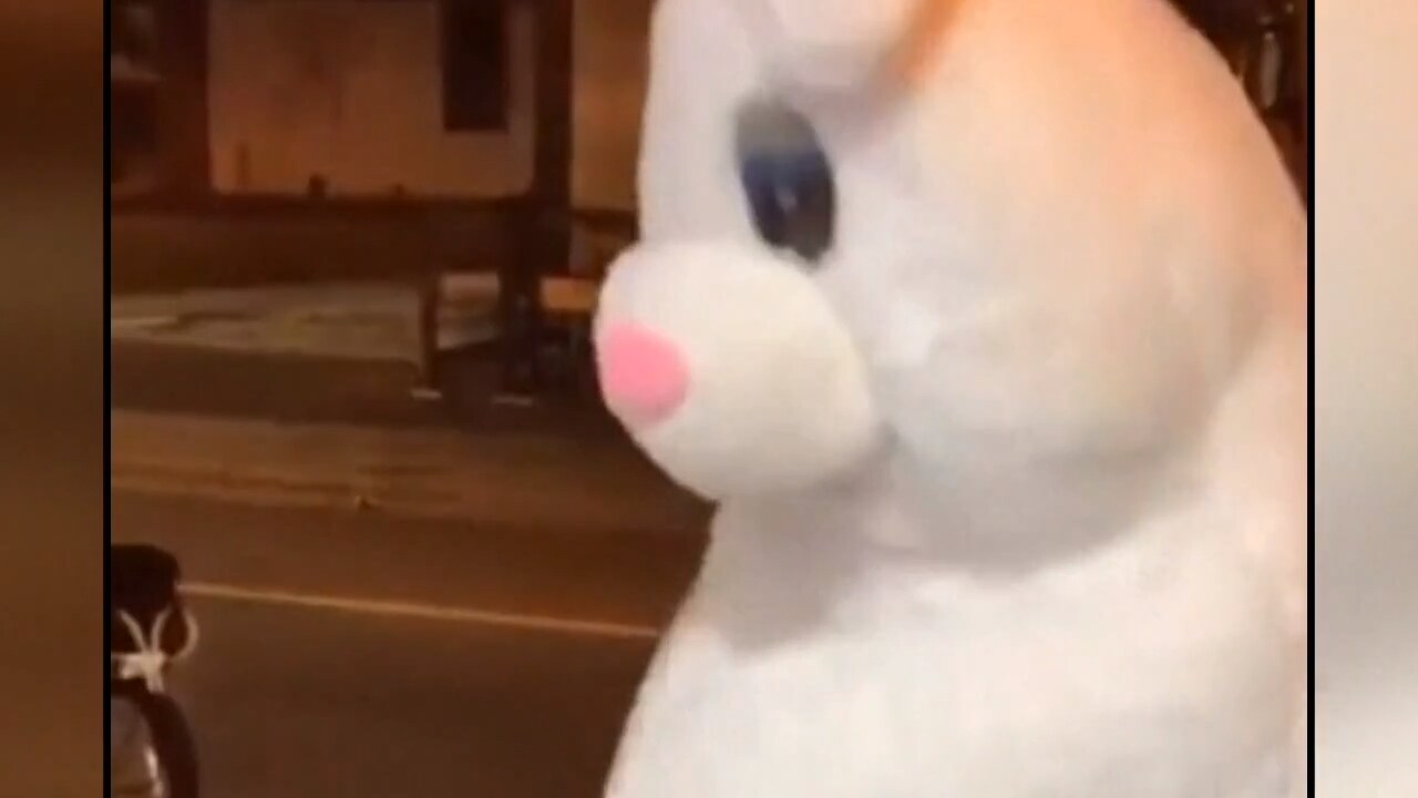 Девушка в костюме Пасхального кролика разрешает кончить внутрь