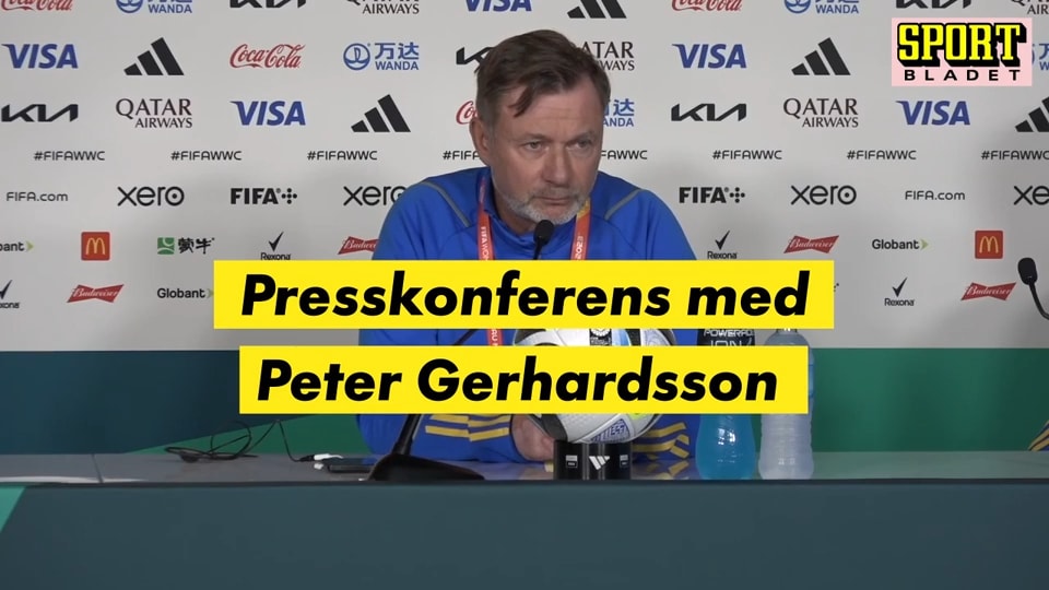 Gerhardsson: "Geni eller galen"