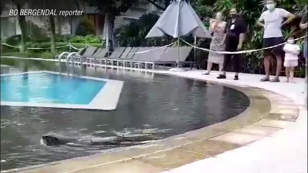 Uttrar invaderar Singapore