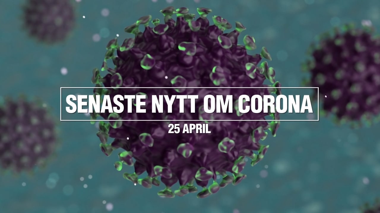 Senaste nytt om coronaviruset – 25 april