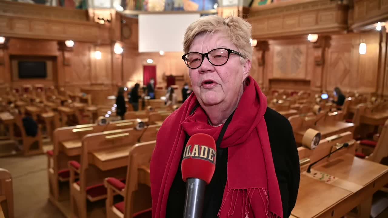 Lena Mellin: ”Ser mörkt ut – oklart om riksdagens säger ja”