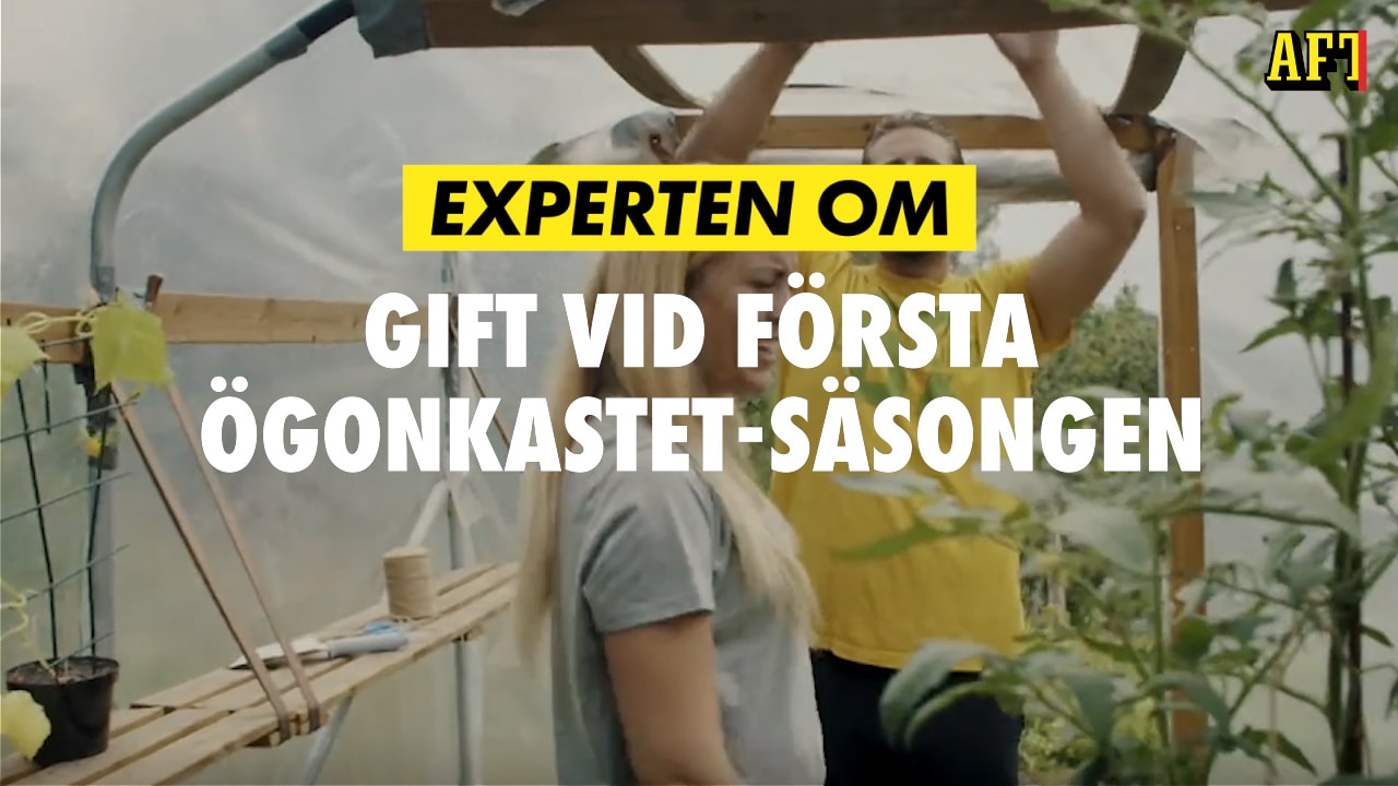 Gift vid första ögonkastet: "Det känns som att programmet fått sitt genombrott i år"