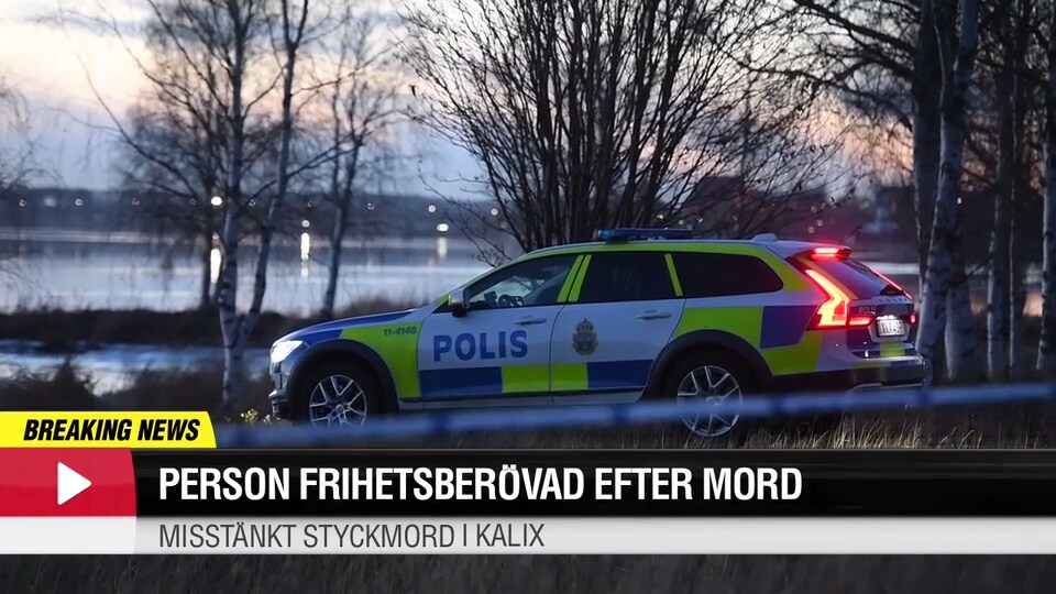 Person frihetsberövad efter mord