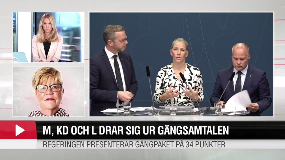 Lena Mellin: ”Det är en ren och skär partiegoism”