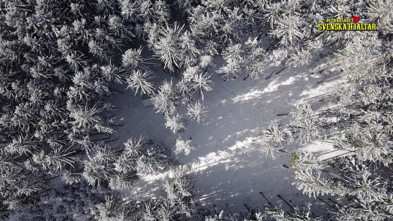 Hunden Oliver stöttade Maria genom cancern