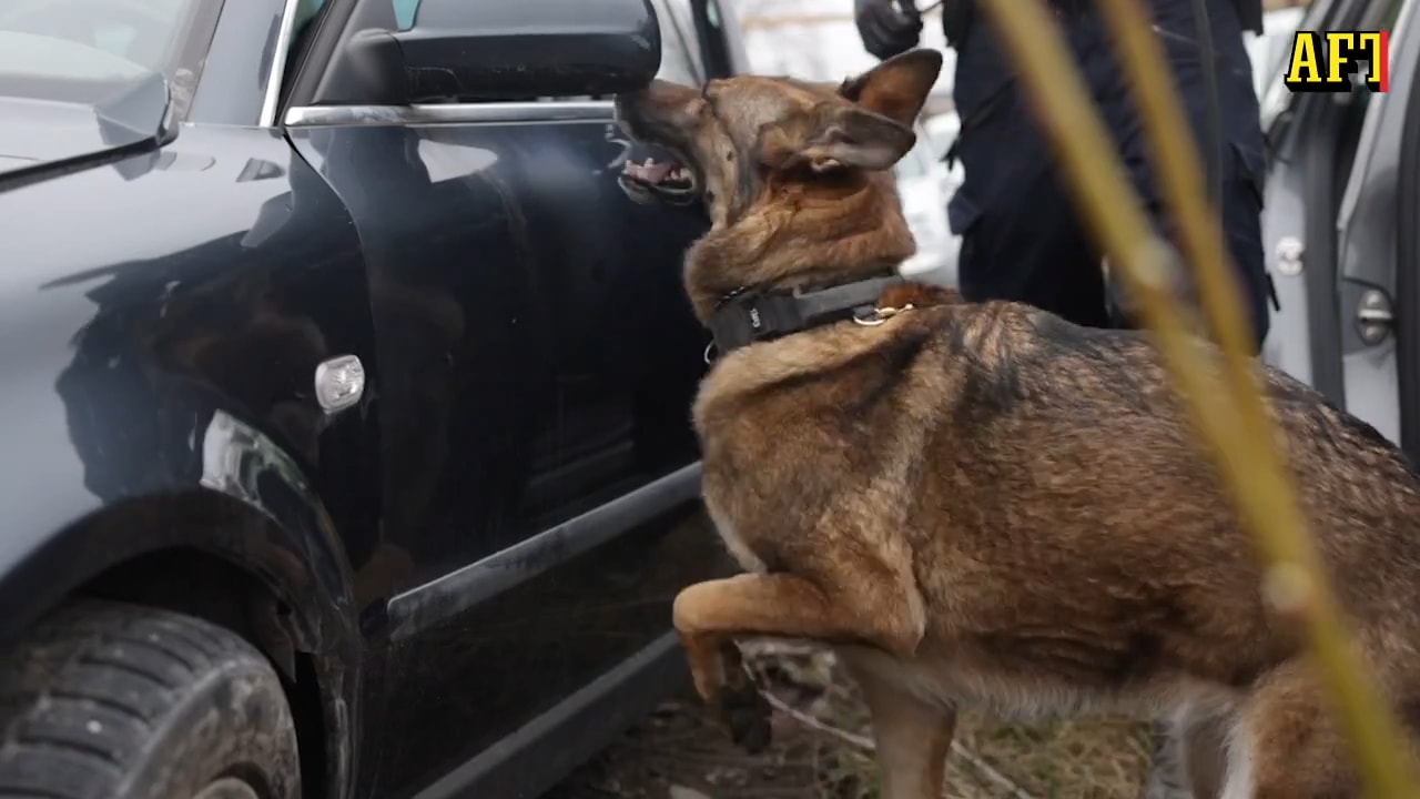 Se när Lundy hittar en revolver