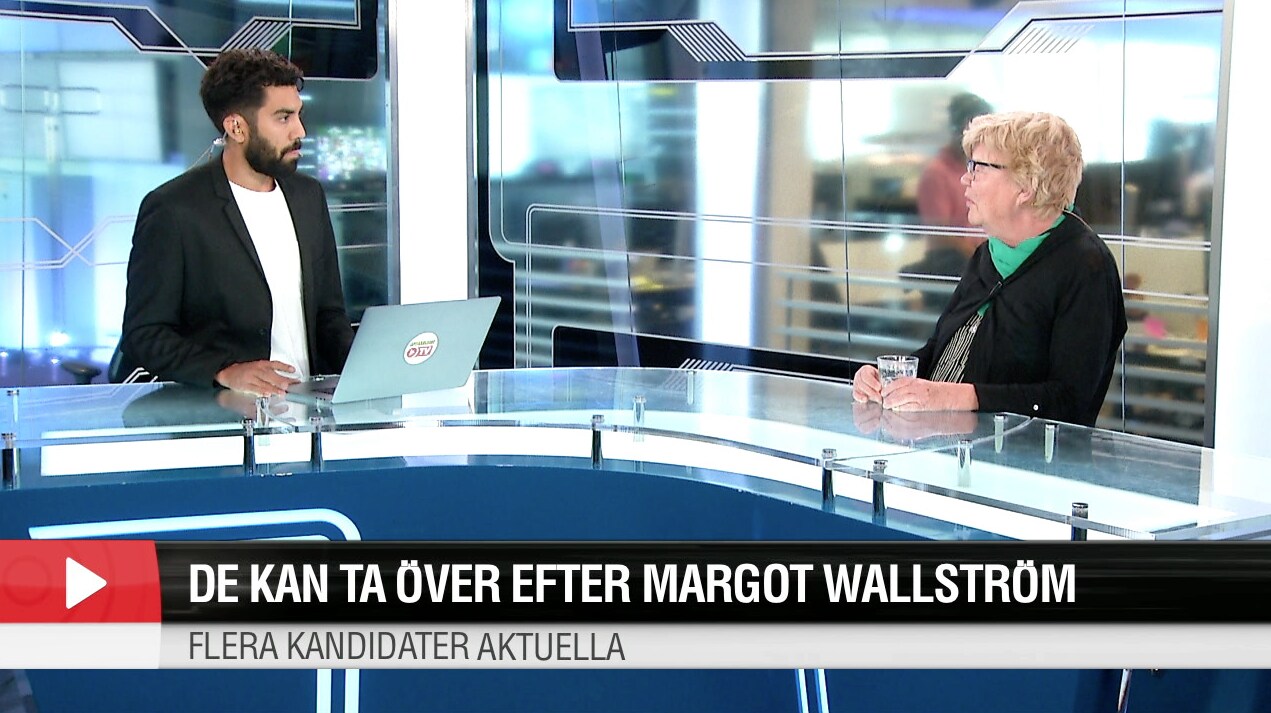 De kan ta över efter Margot Wallström