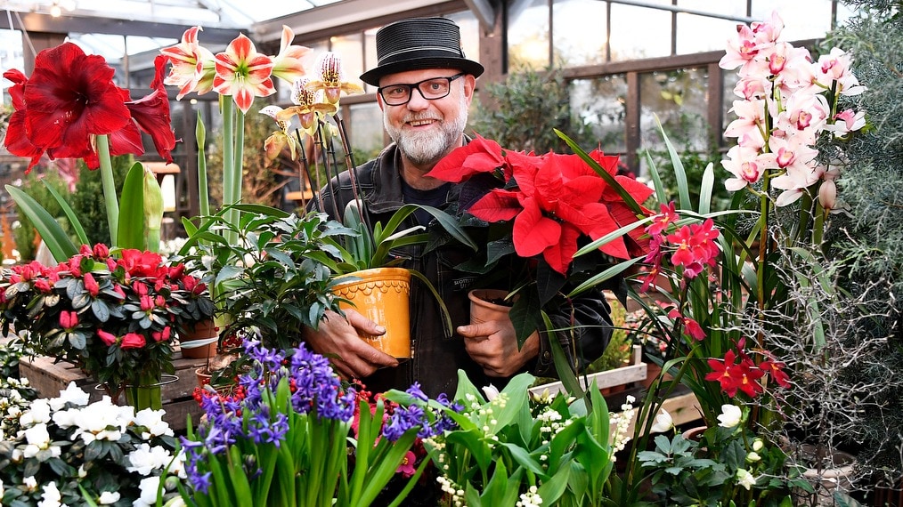 Bosse Rappne: Fixa fina julblommor