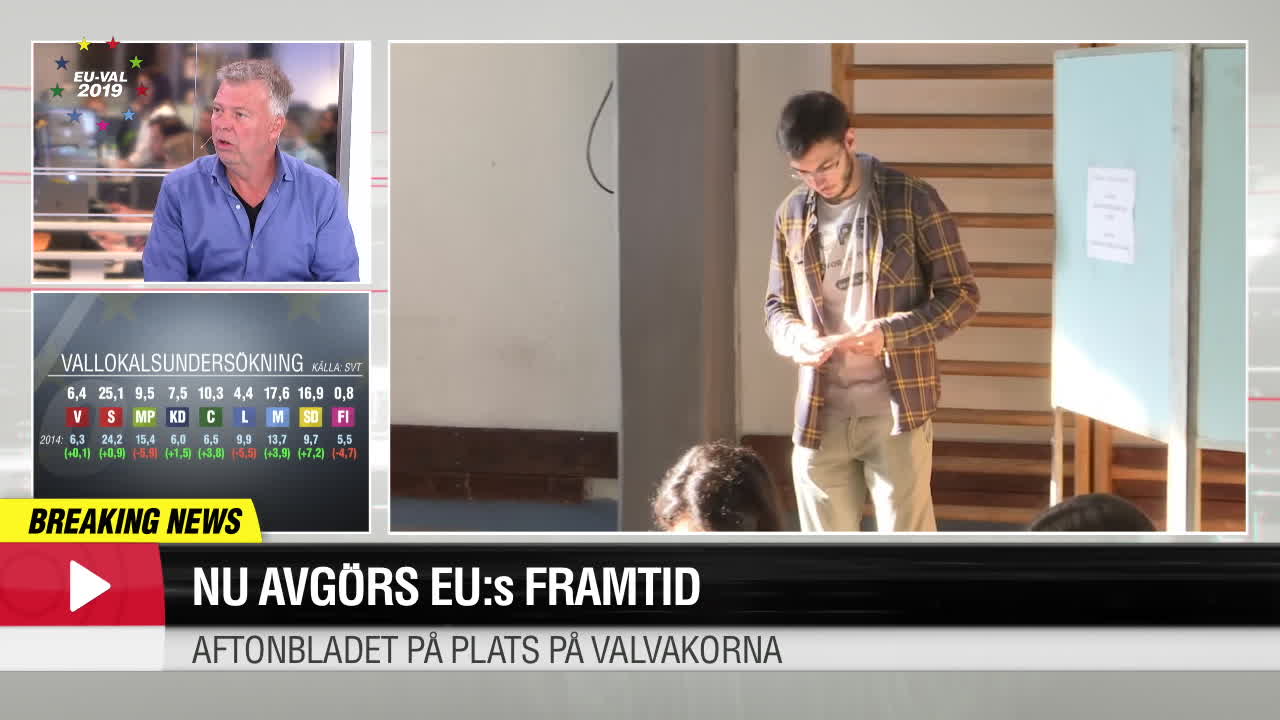 Wolfgang Hansson om de gröna partiernas framgångar i Europa