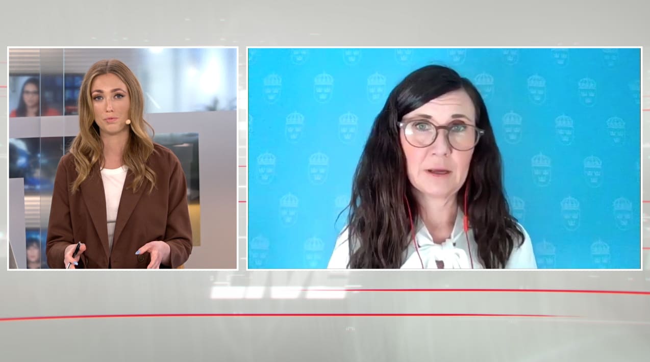 Märta Stenevi: "Vi måste samla hela samhällets kraft"