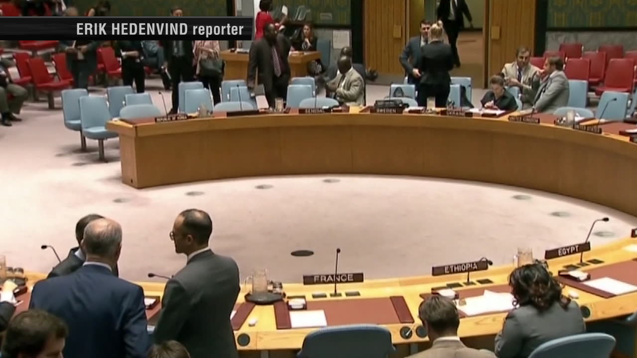 FN inför kraftiga sanktioner mot Nordkorea – får inte sälja skaldjur