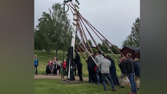 Ska resa midsommarstången – då rasar den