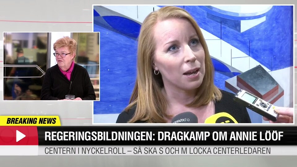 Regeringsbildningen: Dragkamp om Annie Lööf