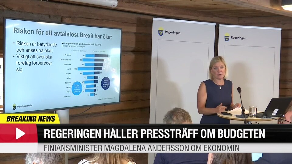 Finansministern håller pressträff om budgeten
