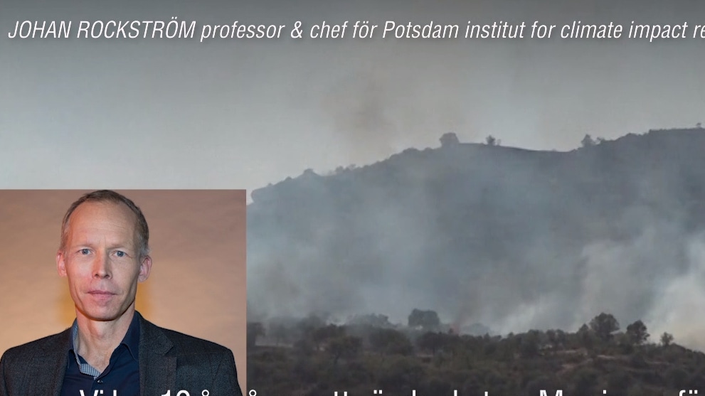 Miljöprofessorn: "Vi har 10 år på oss att vända skutan"