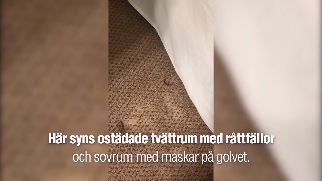 Se WNBA-spelarnas odrägliga karantänboende