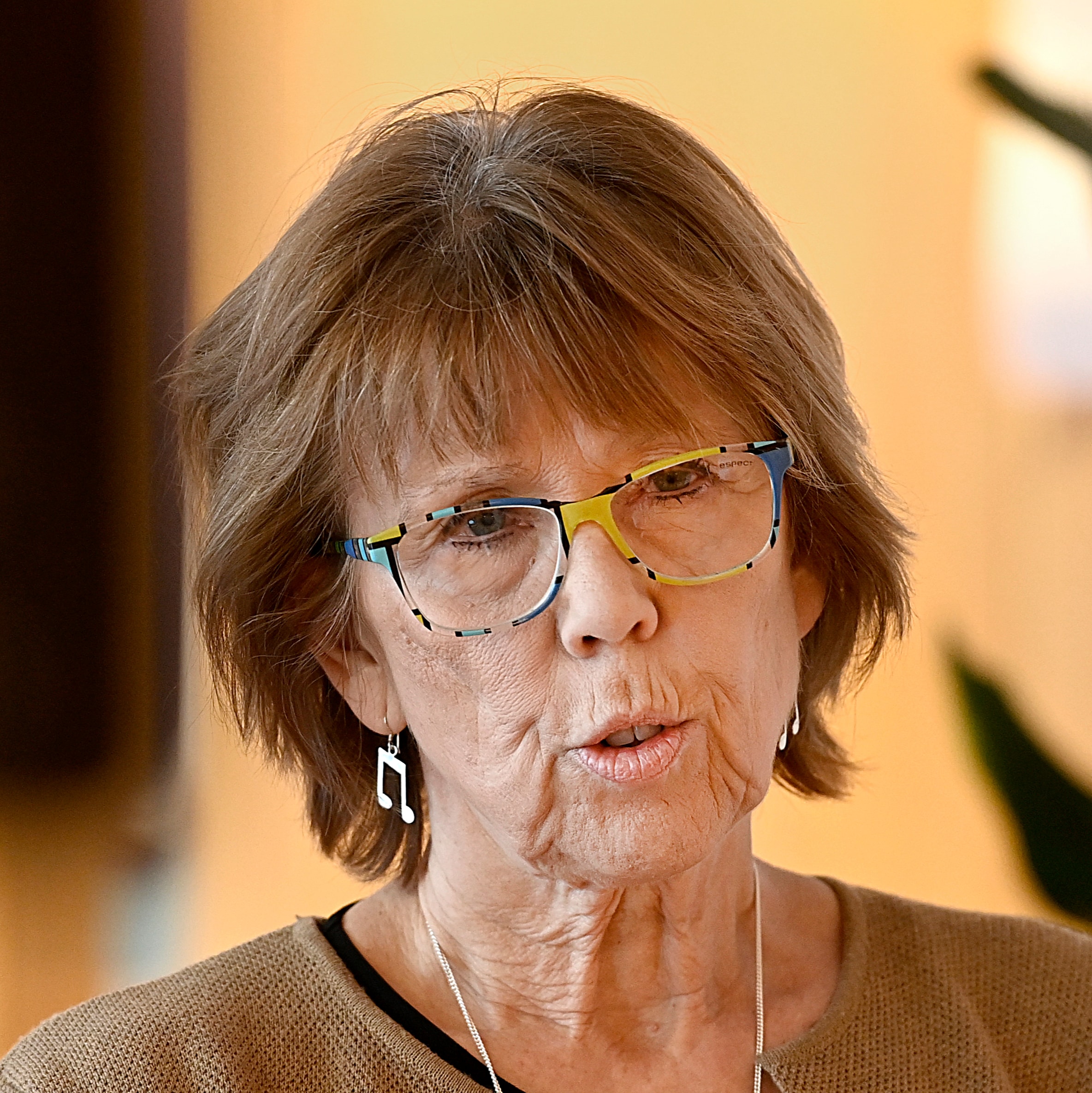 Nytt civilt försvar kan dröja tio år