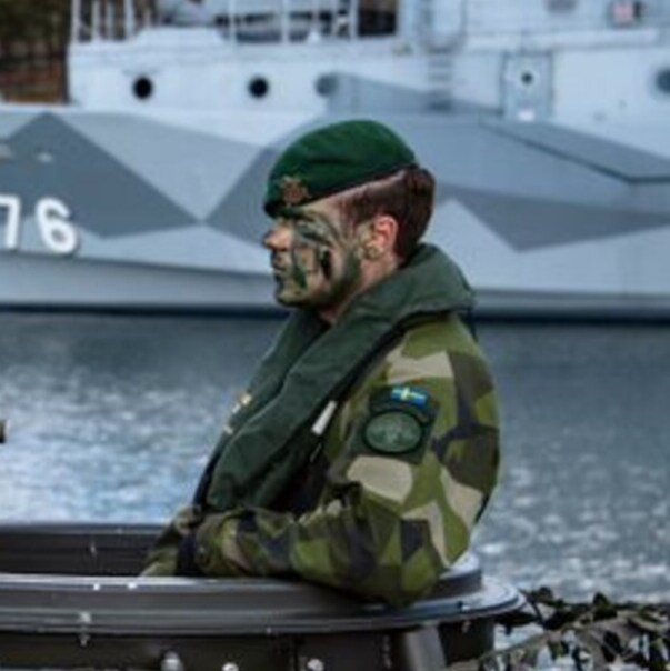 Var tredje svensk vill kriga för Norden