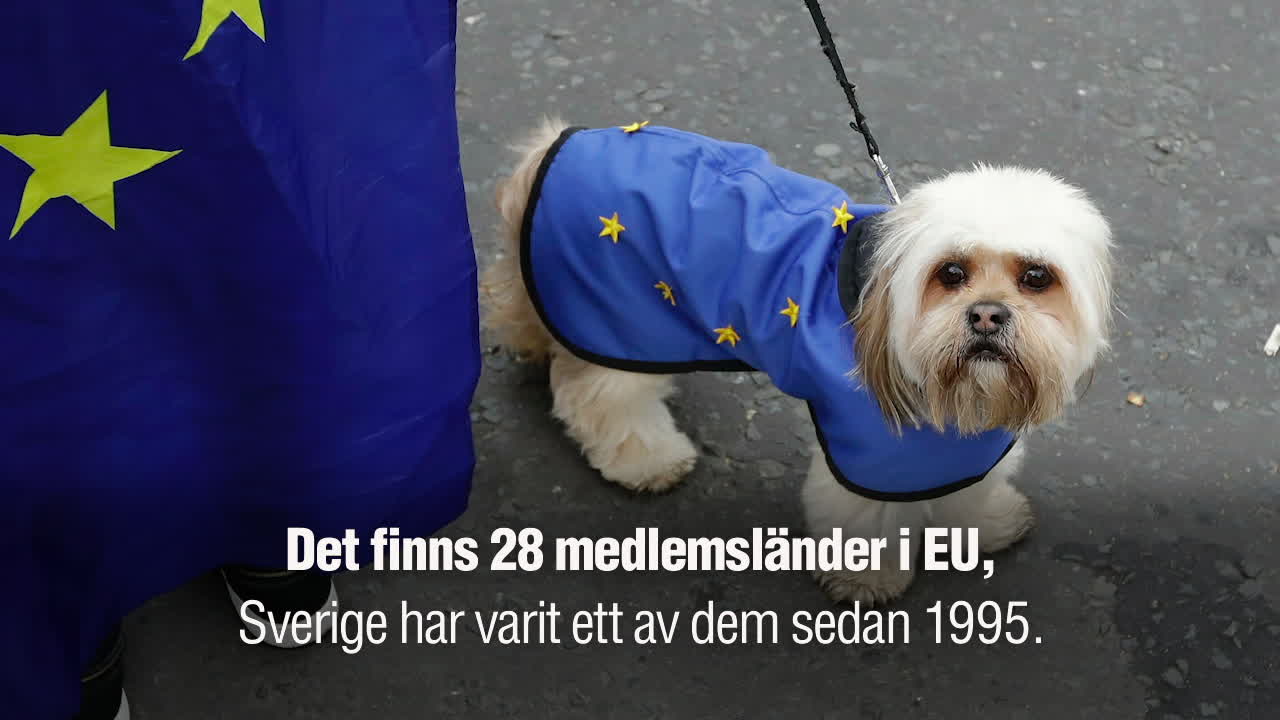 Så funkar EU