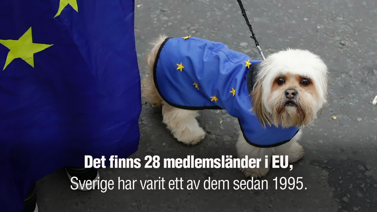 EU – så funkar det - Aftonbladet TV