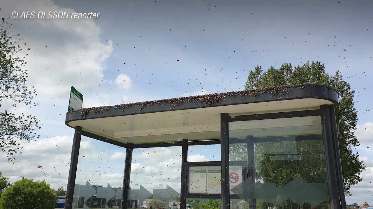 30 000 bin på vift i Ystad