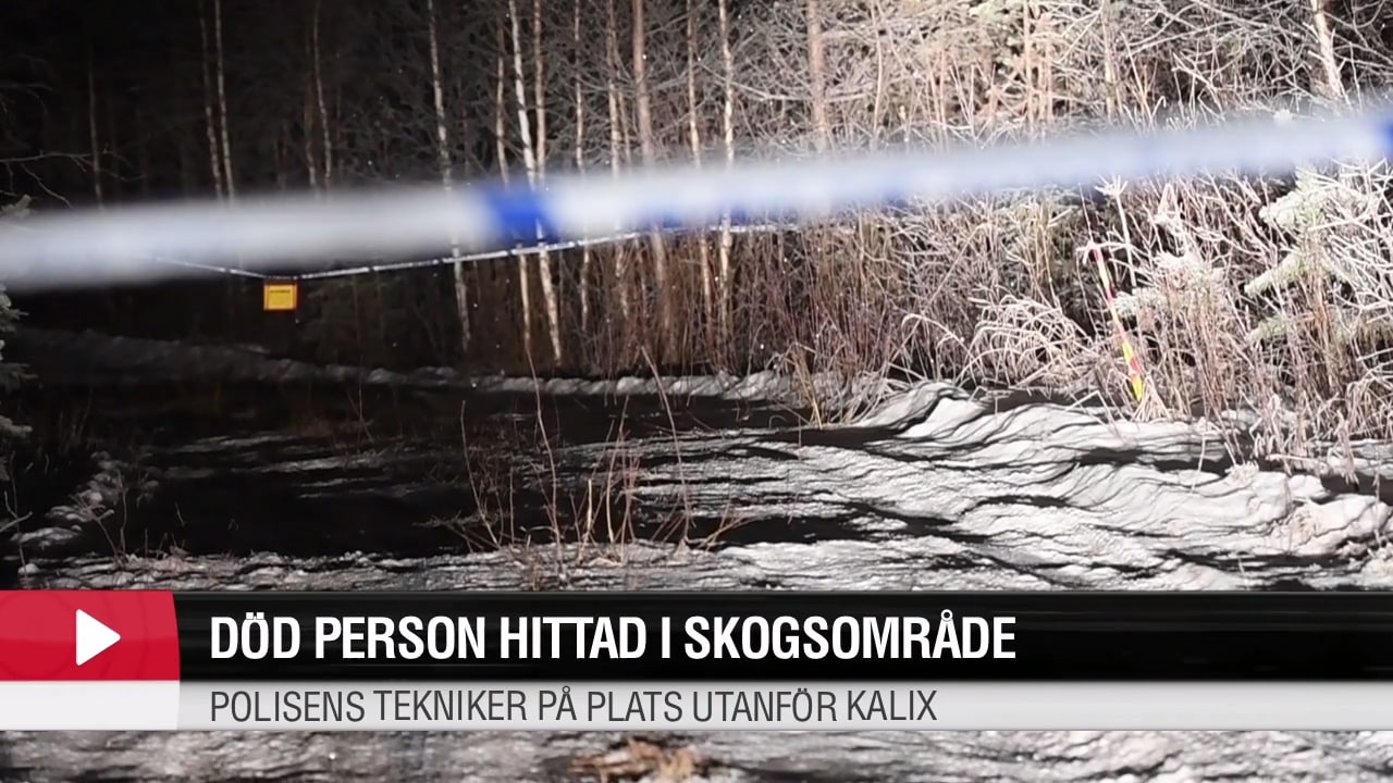 Död person hittad i skogsområde