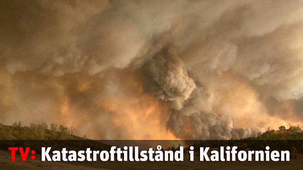 Katastroftillstånd utlyst i Kalifornien