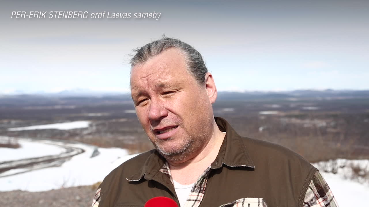 Renskötaren: "Jag tycker det är horribelt"