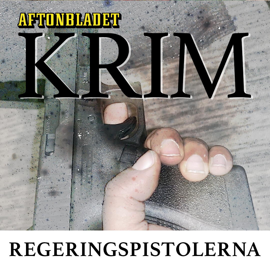 Regeringspistolerna