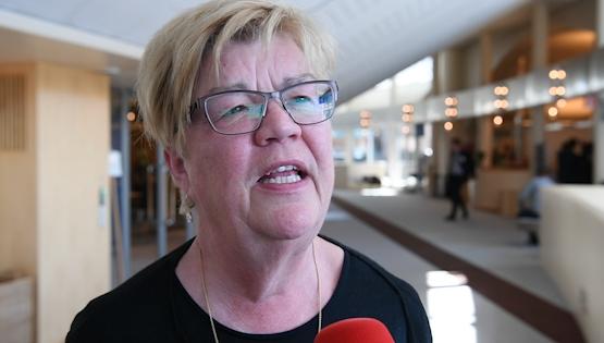 Lena Mellin om kritiken mot Ygeman