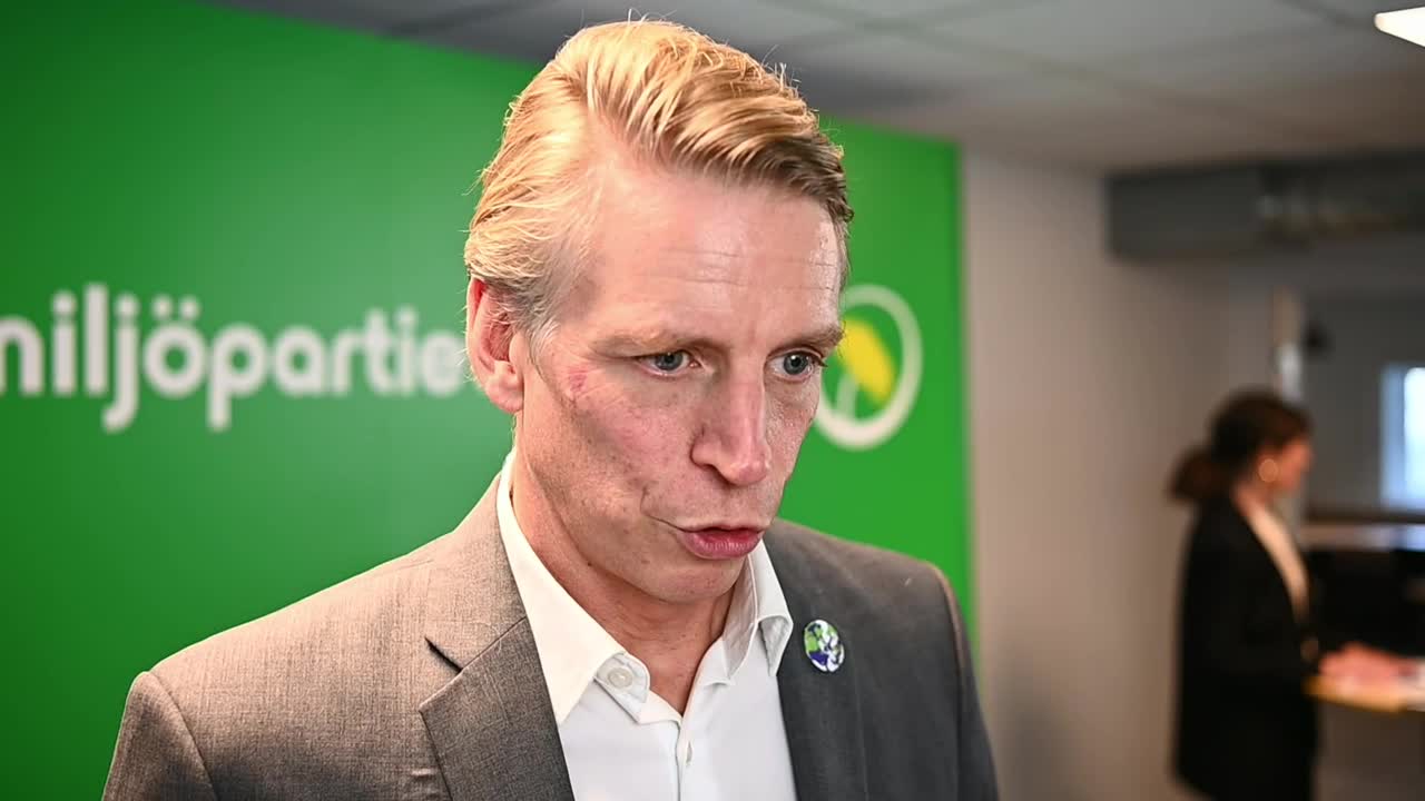 Bolund: "Sverigedemokraterna har sitt ursprung i den svenska nazismen"