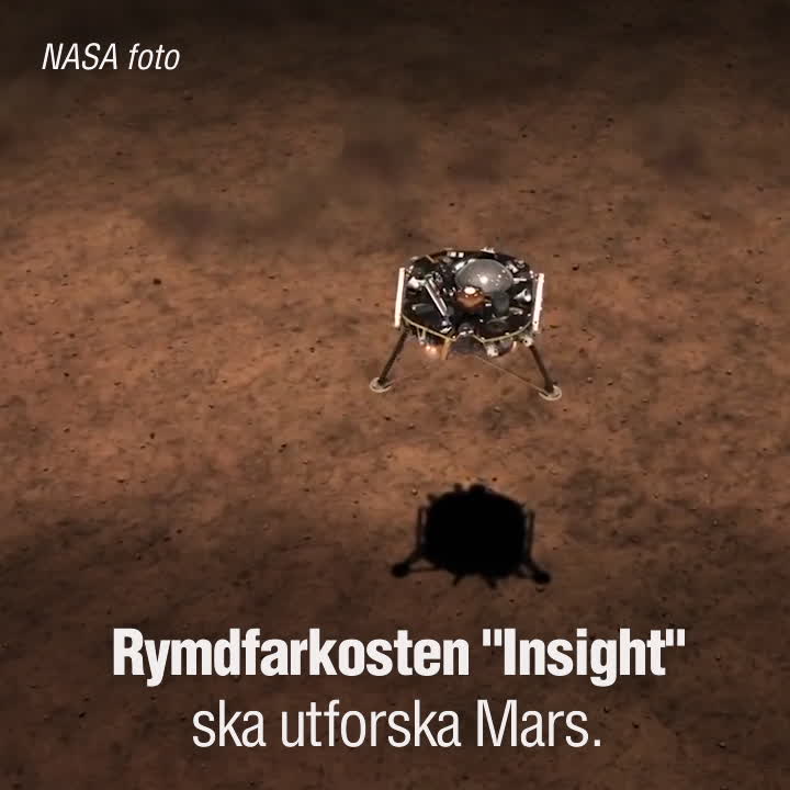 ”Insight” ska avslöja Mars ursprung