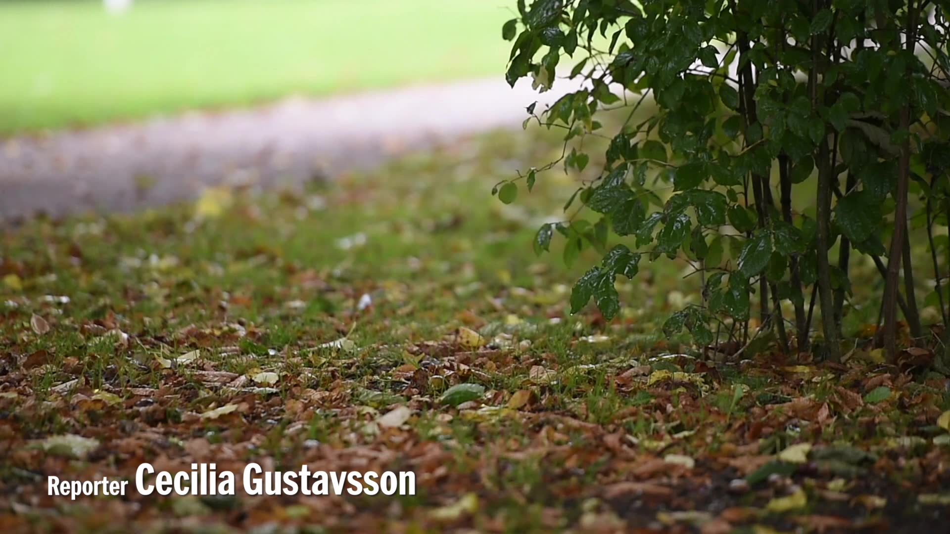 Sara tvingades till prostitution