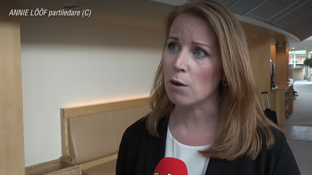 Annie Lööf (C) stöttar förslag om ensamkommande: ”Tusentals unga som hamnat i kläm”