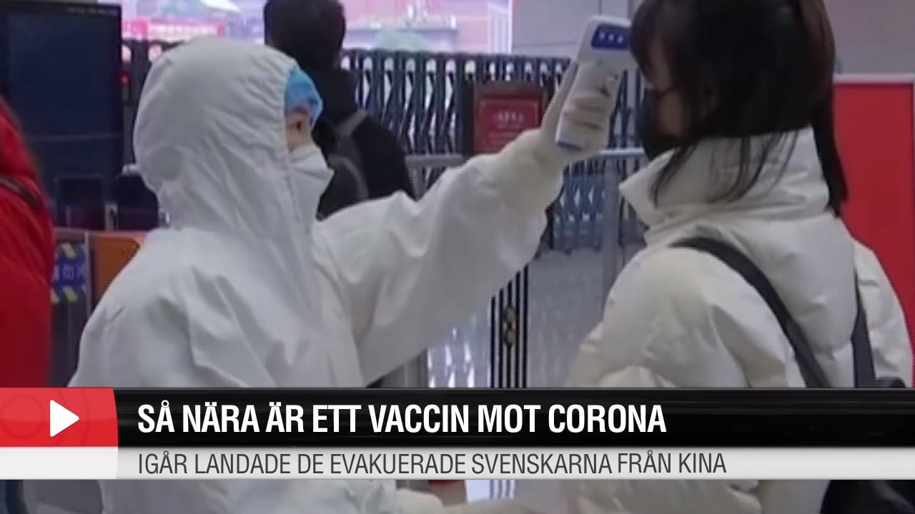 Det senaste om coronaviruset – hör experternas analyser