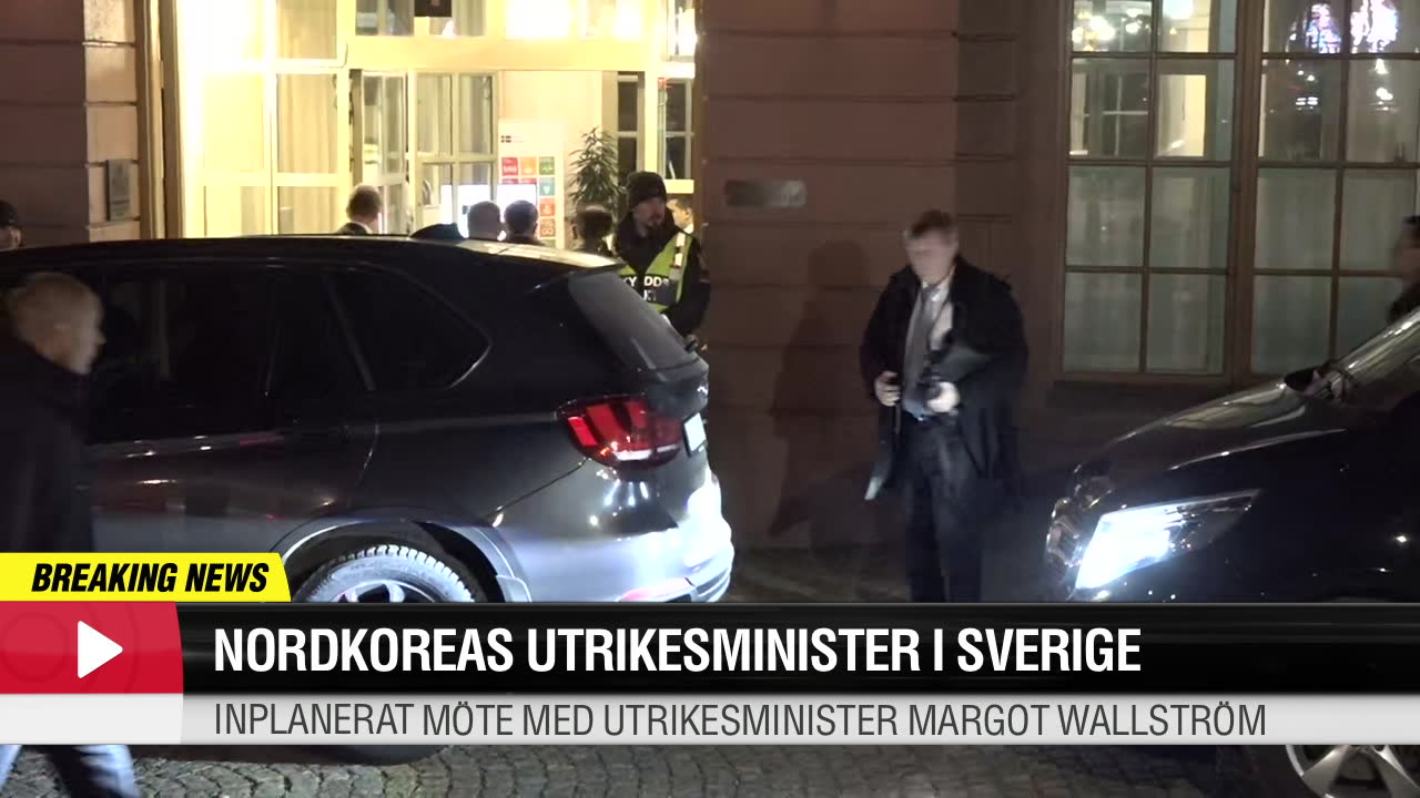 Nordkoreas utrikesminister Ri Yong-ho har landat i Sverige