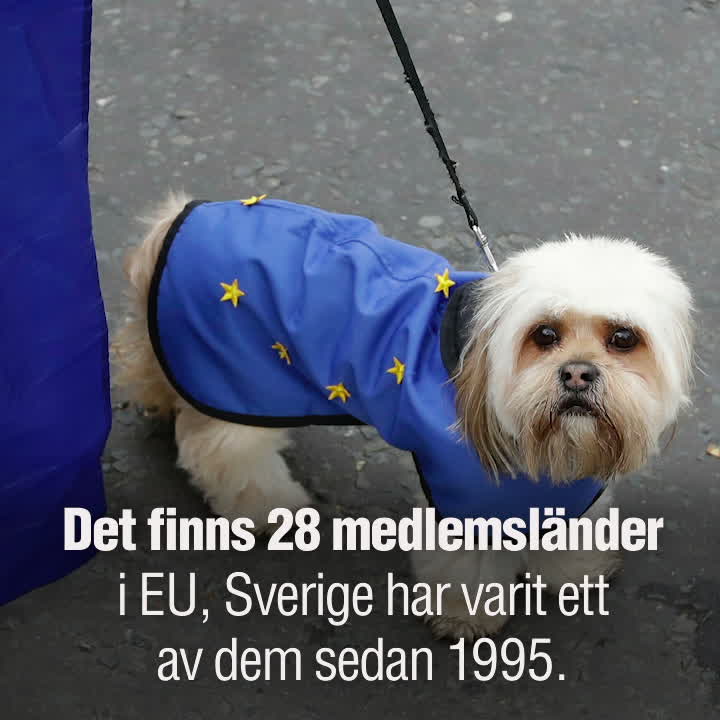 Så funkar EU