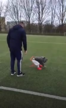 Här tränas Anel Ahmedhodzics systerson upp