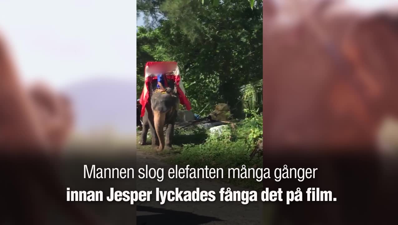 Mannen slog elefanten med ett yxliknande föremål