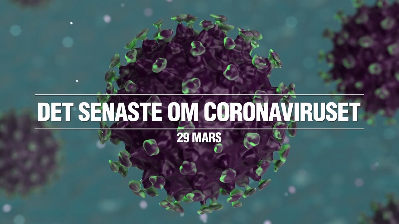 Det senaste om coronaviruset – 29 mars