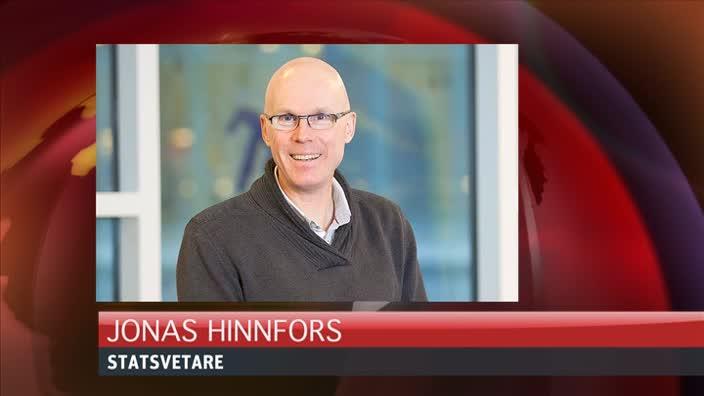 Hinnfors: "Det vore väldigt uppseendeväckande"