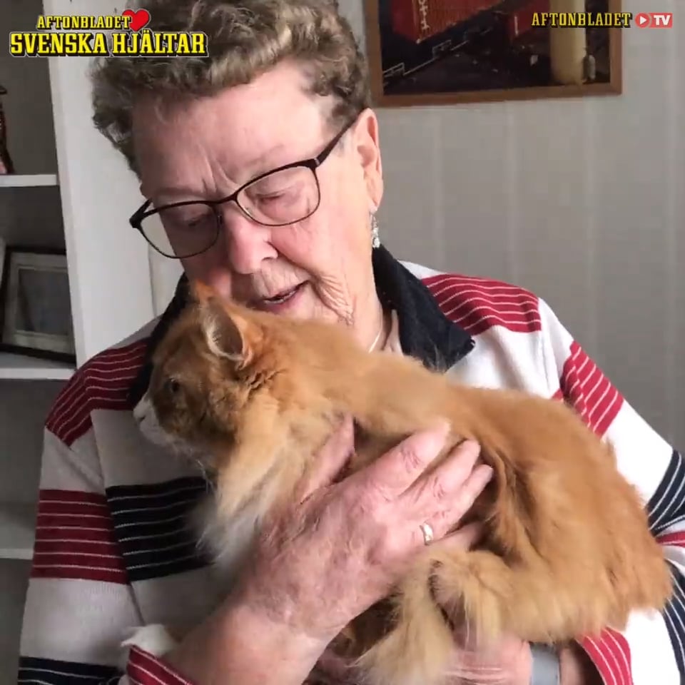 Katten Musse räddade Lisbets liv