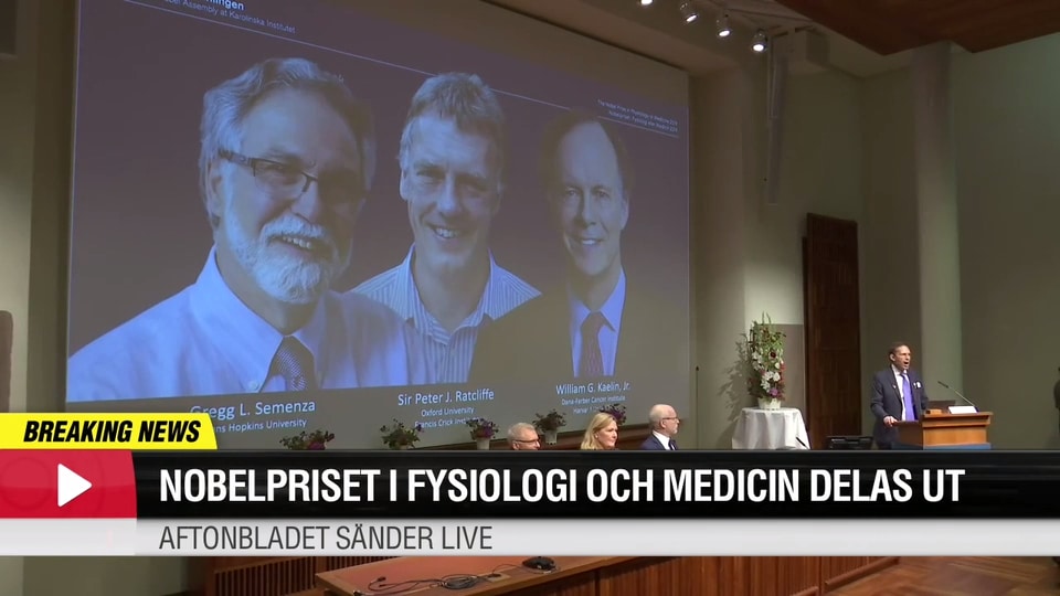 Hör presskonferensen där pristagarna av Nobelpris i medicin tillkännages