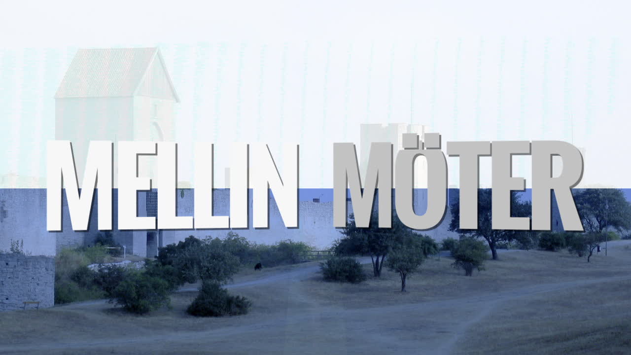 Mellin möter Annie Lööf