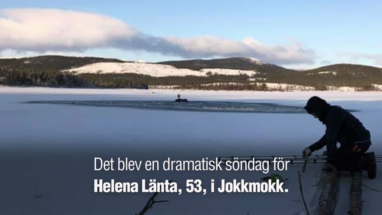 Helena om älgräddningen: ”Man blir alldeles rörd”