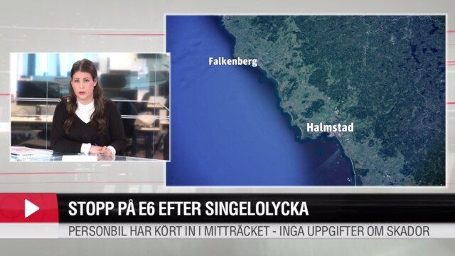 Stopp på E6 efter singelolycka