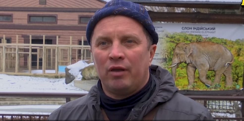 Djurskötaren sover med krigsskärrade elefanten på Kievs zoo