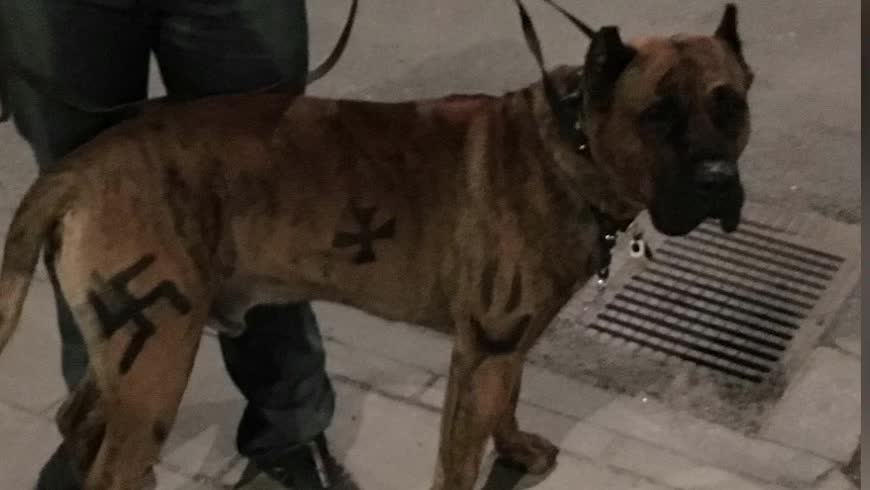 Målade hund med nazistiska symboler