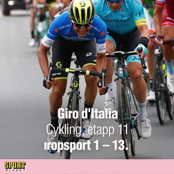 Dagens tv-höjdare 16 maj