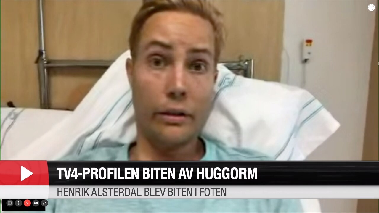 Tv4-profilen biten av huggorm